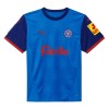 Maillot de Foot Holstein Kiel Domicile 2024-25 Maillot de Foot Holstein Kiel Domicile 2024-25